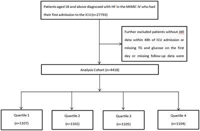 Association between the triglyceride glucose index and the risk of acute kidney injury in critically ill patients with hypertension: analysis of the MIMIC-IV database